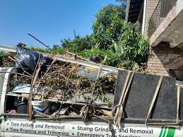 Best Scrap Metal Removal  in Nuevo, CA